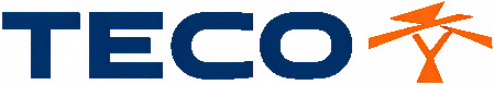 TECO Electric Power Transmission OEM logo